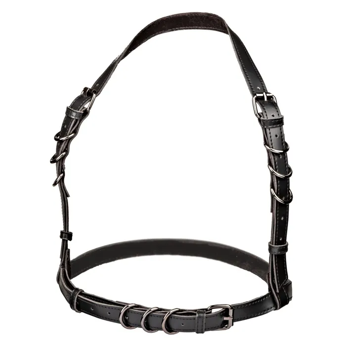 CalExotics Plus Size Euphoria Collection Plus Size Halter Buckle Harness Black