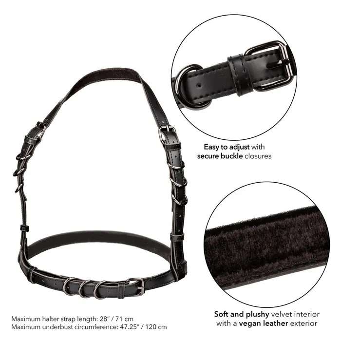 CalExotics Plus Size Euphoria Collection Plus Size Halter Buckle Harness Black CalExotics Plus Size Euphoria Collection Plus Size Halter Buckle Harness Black